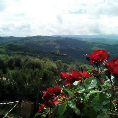 Pensjonat Poggio Al Vento Castiglione dʼOrcia Zewnętrze zdjęcie