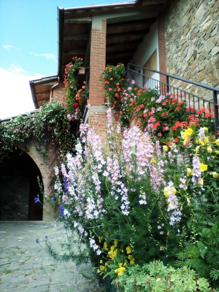 Pensjonat Poggio Al Vento Castiglione dʼOrcia Zewnętrze zdjęcie