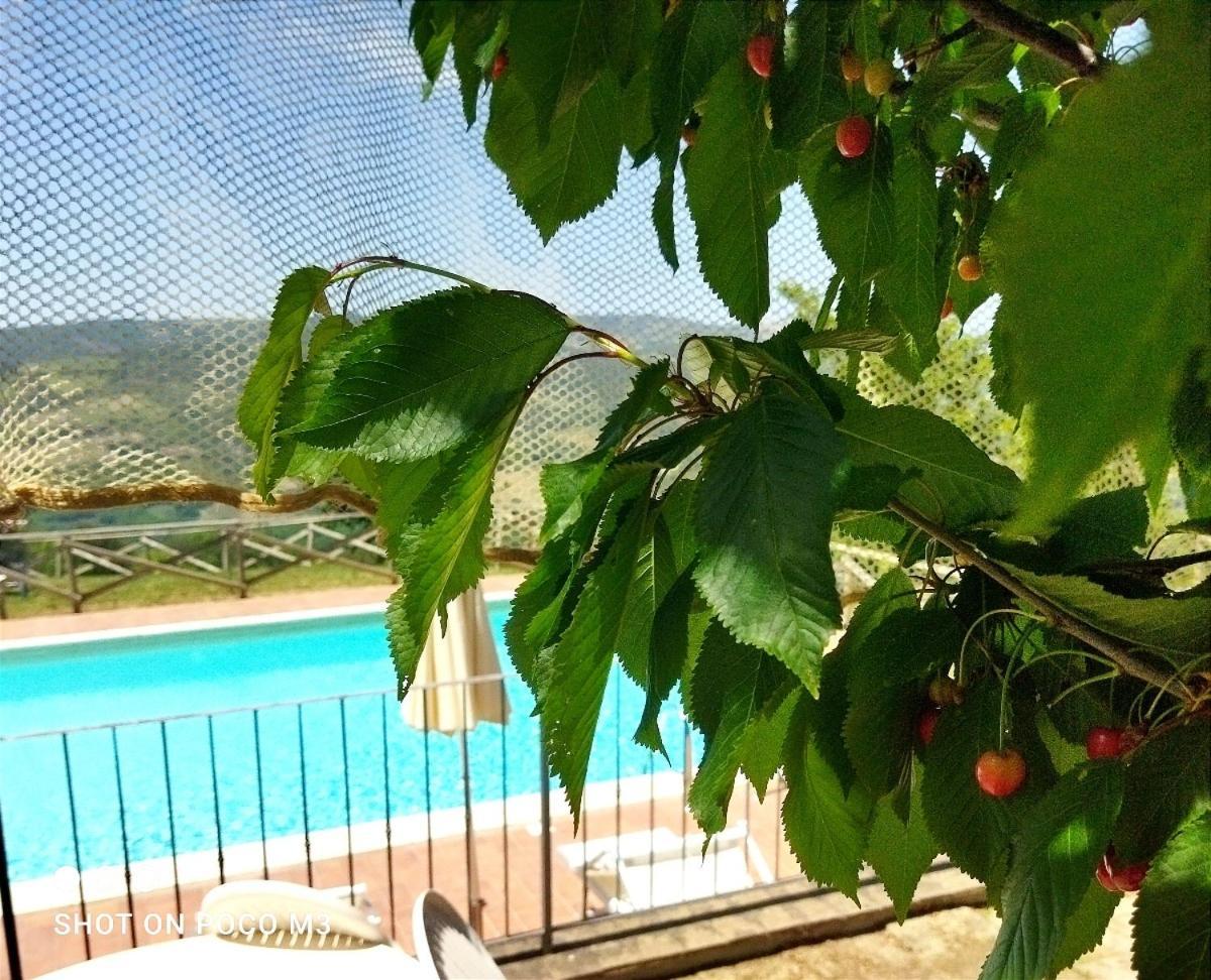 Pensjonat Poggio Al Vento Castiglione dʼOrcia Zewnętrze zdjęcie