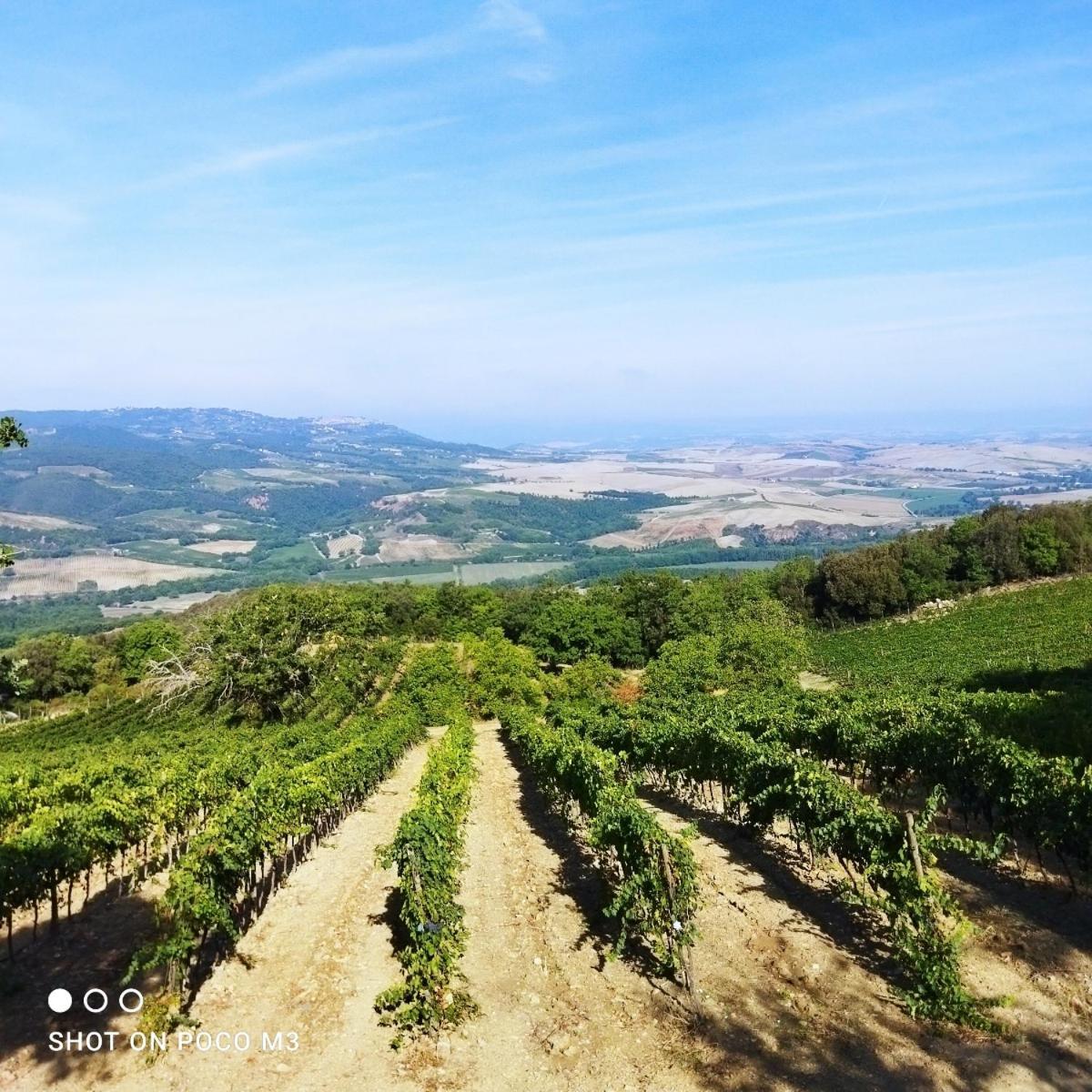 Pensjonat Poggio Al Vento Castiglione dʼOrcia Zewnętrze zdjęcie
