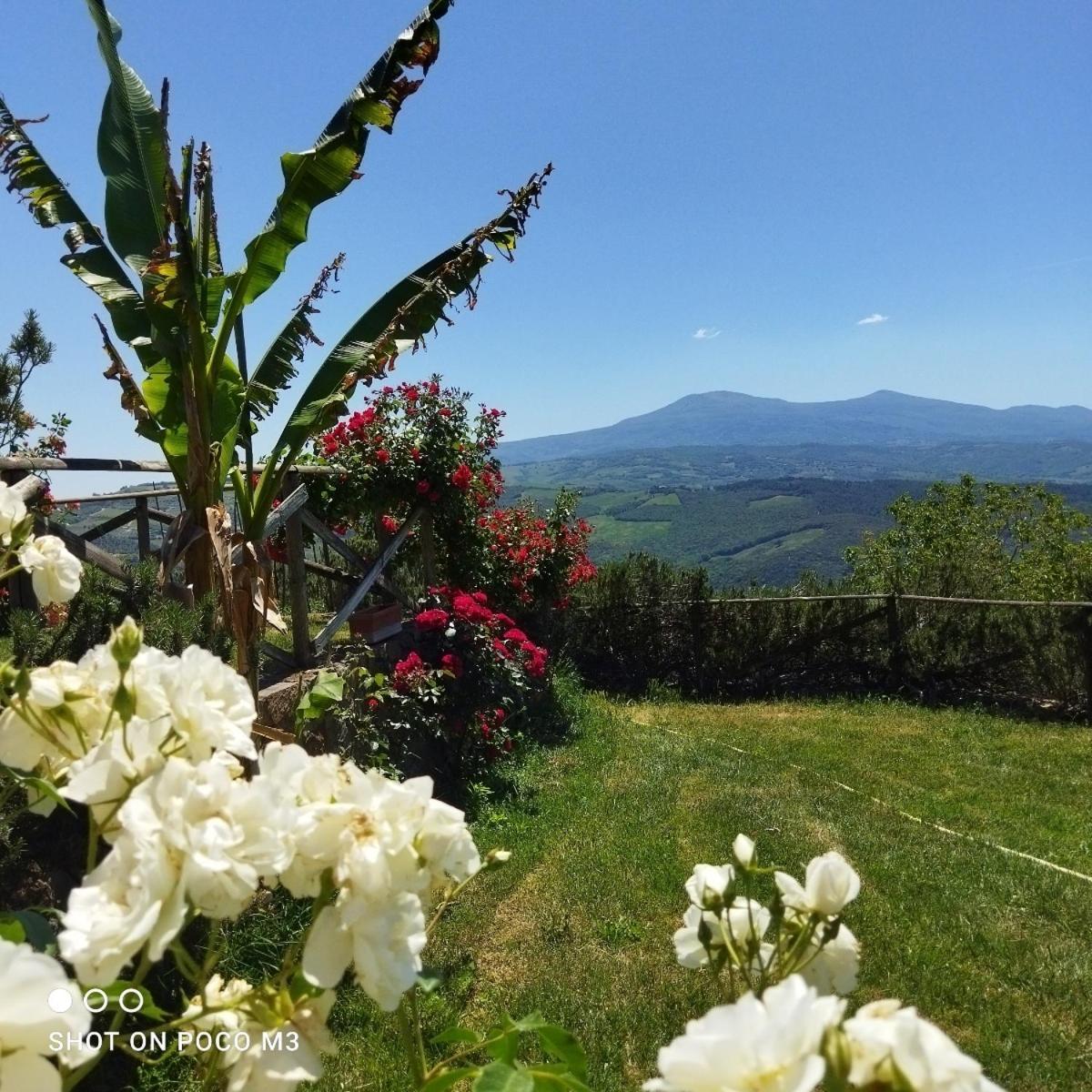 Pensjonat Poggio Al Vento Castiglione dʼOrcia Zewnętrze zdjęcie