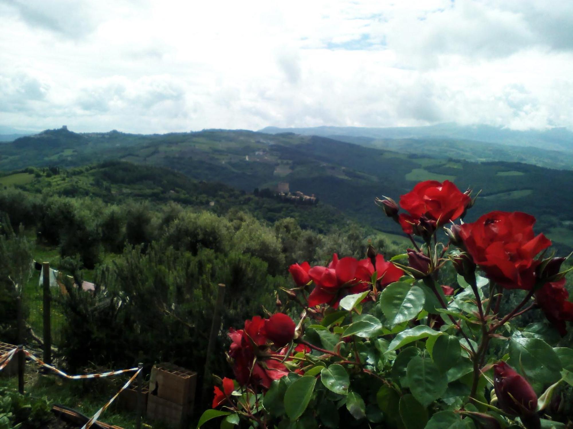 Pensjonat Poggio Al Vento Castiglione dʼOrcia Zewnętrze zdjęcie