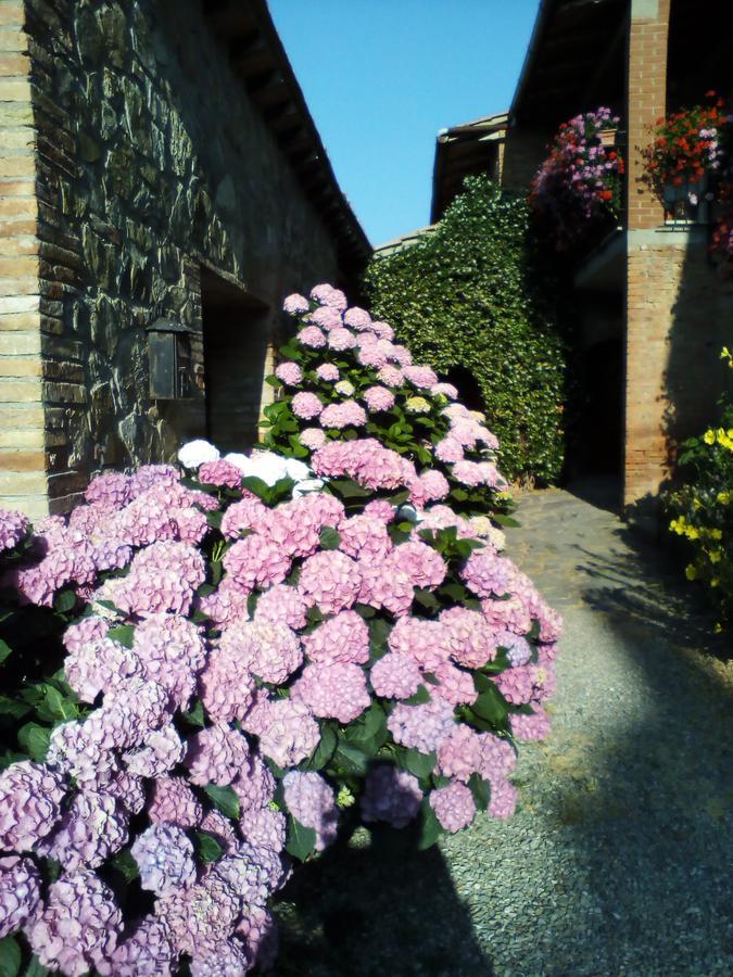 Pensjonat Poggio Al Vento Castiglione dʼOrcia Zewnętrze zdjęcie